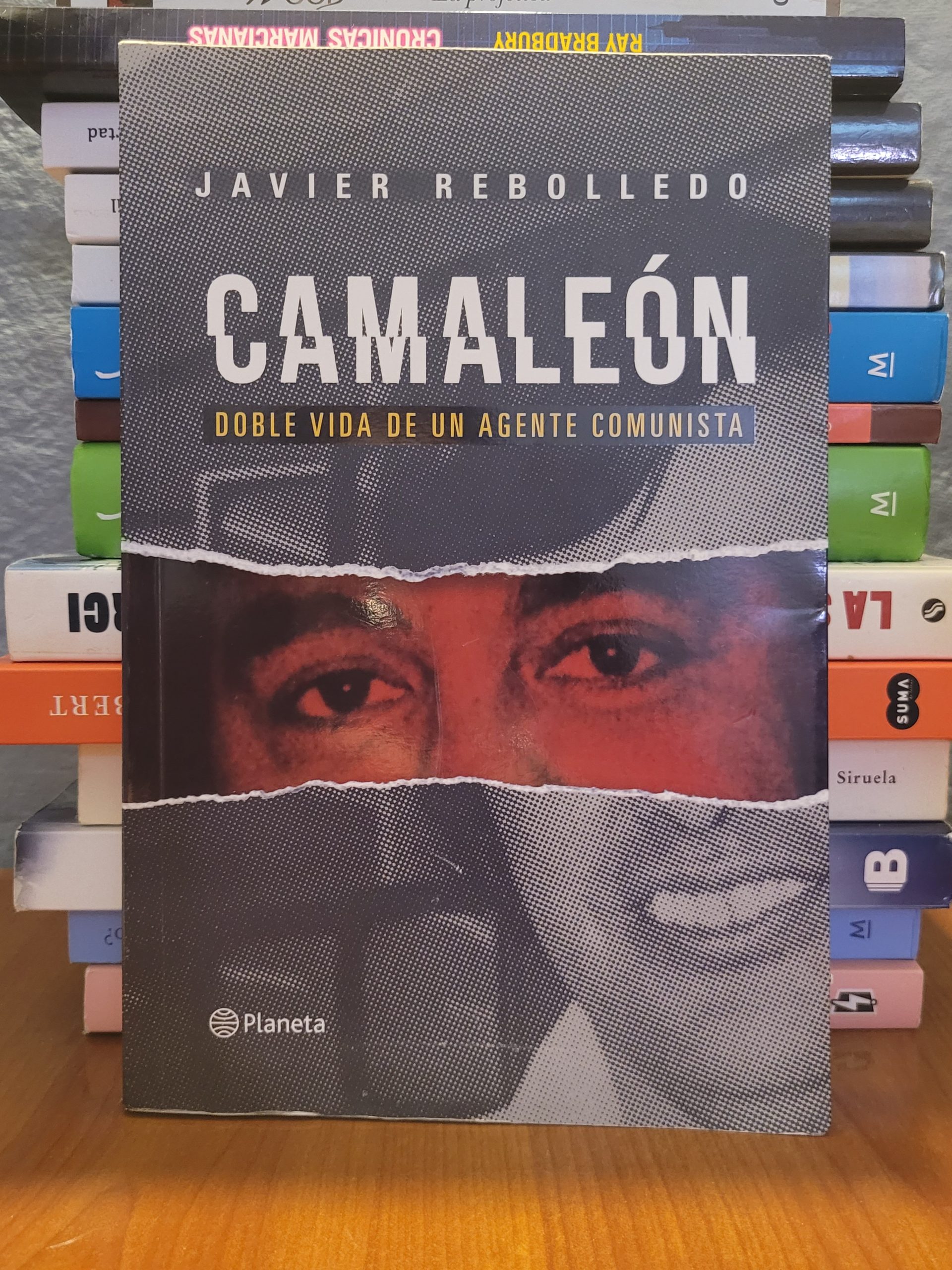 2026/03/1000088697-scaled.jpg Camaleón - Imagen 1
