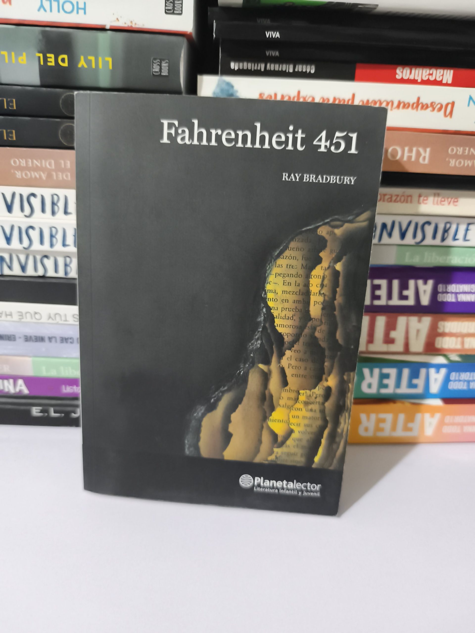 2026/03/JPEG_20260325_182416_5872377147266041118-scaled.jpg Fahrenheit 451 - Imagen 1