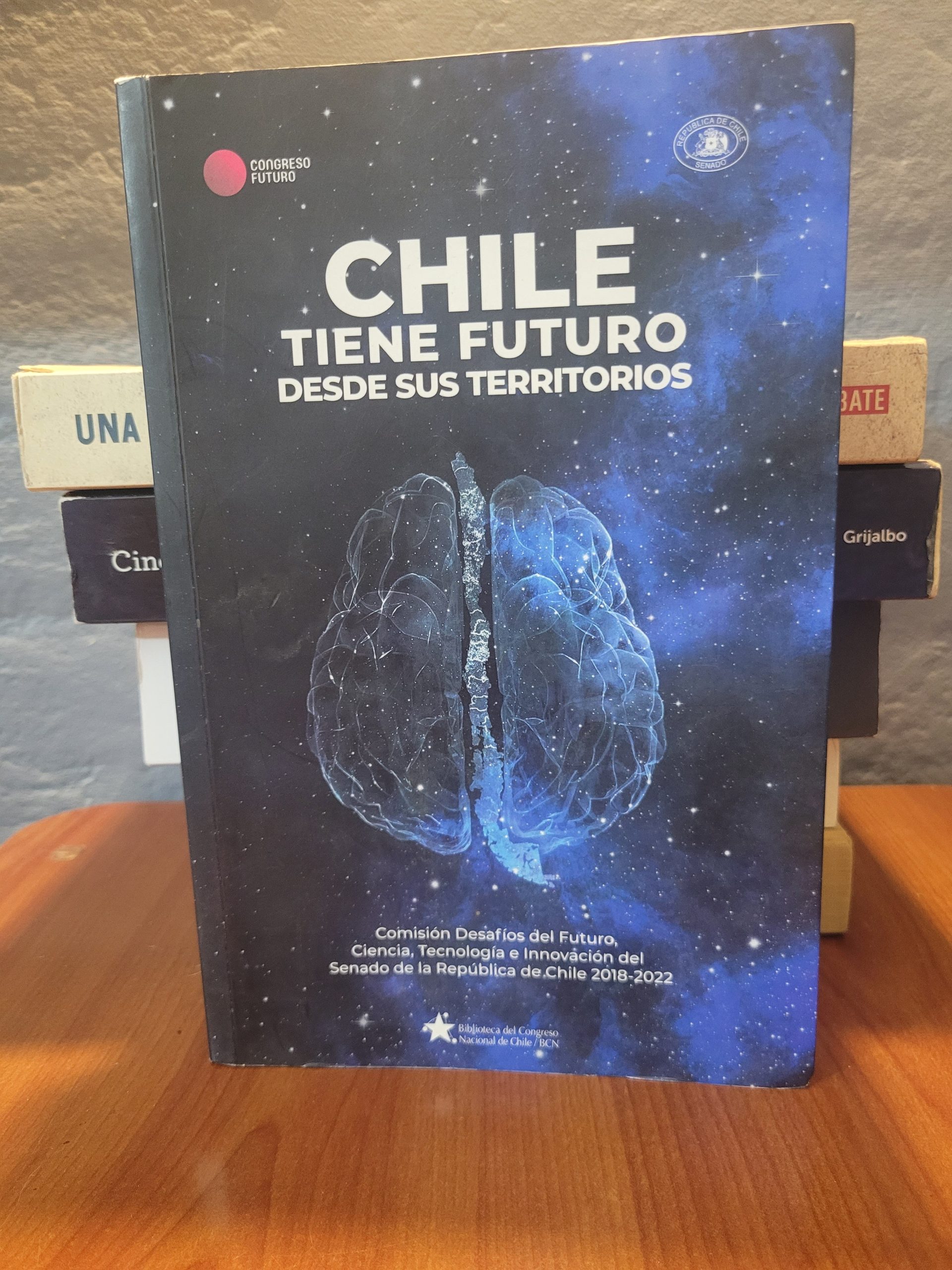 2026/04/1000089713-scaled.jpg Chile tiene futuro desde sus territorios - Imagen 1