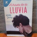 A través de la lluvia