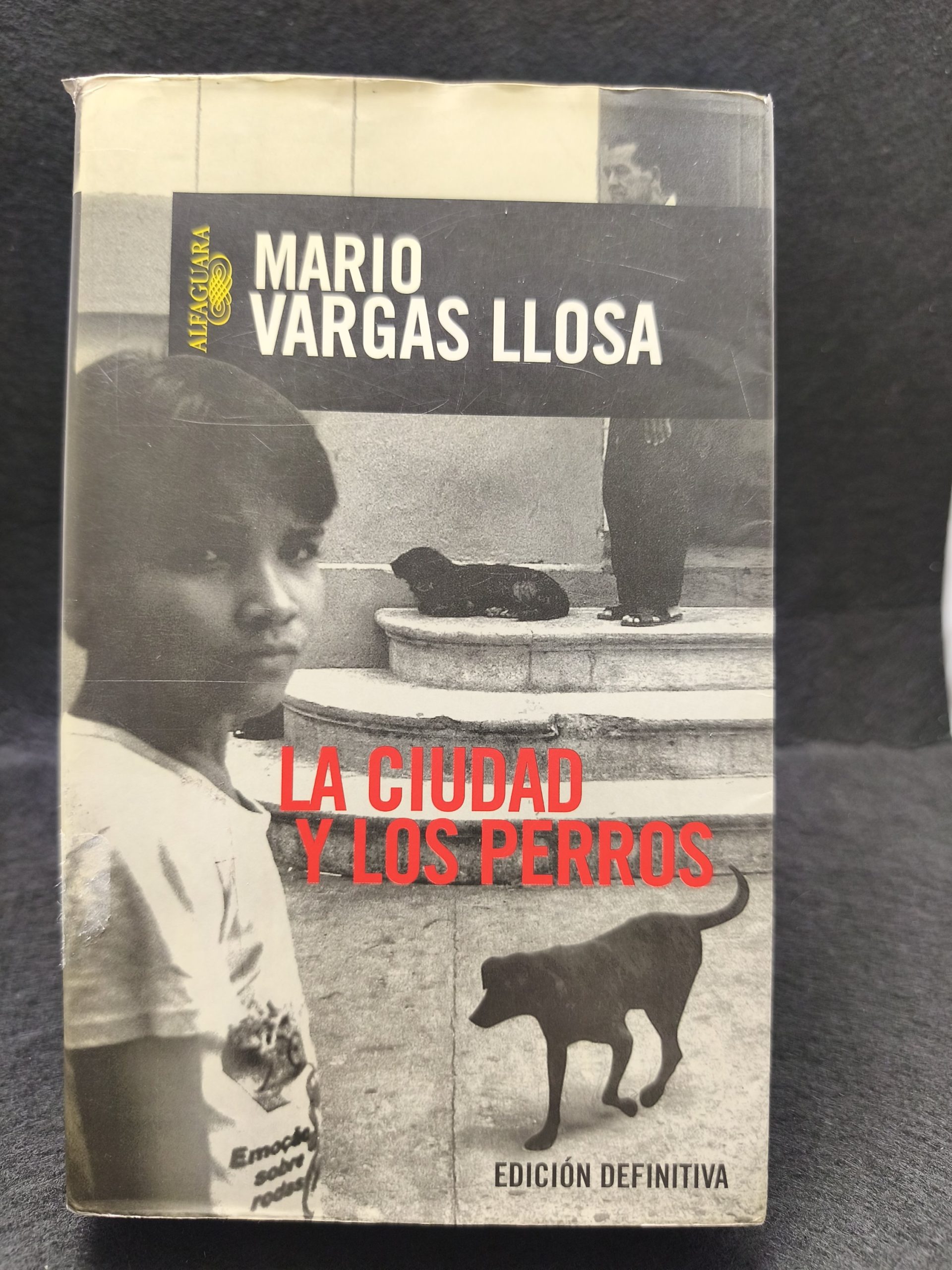 2026/07/1000041138-scaled.jpg La ciudad y los Perros - Imagen 1